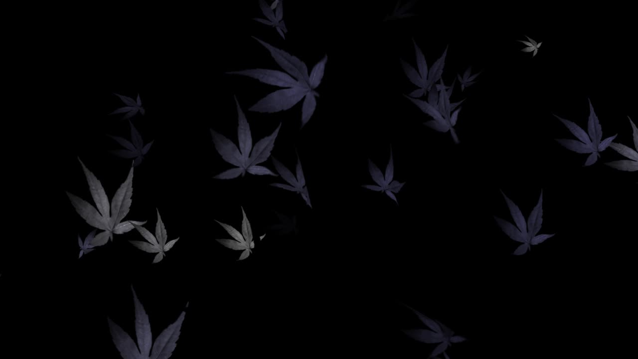 추상적인 나무 잎 루프 가능한 배경 - 춤추는 잎 - 가을 잎 - 떨어지는 가을 꽃잎 - 나무 잎이 회전하고 날아다니는 - 루프 가능한