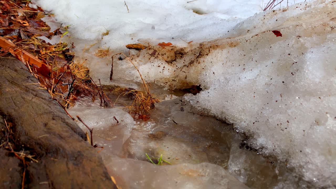 비가 내리는 동안 눈이 녹아 웅덩이에 빠지다