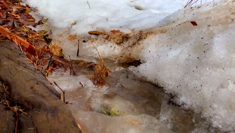 snow melting and falling into a puddle while it rains