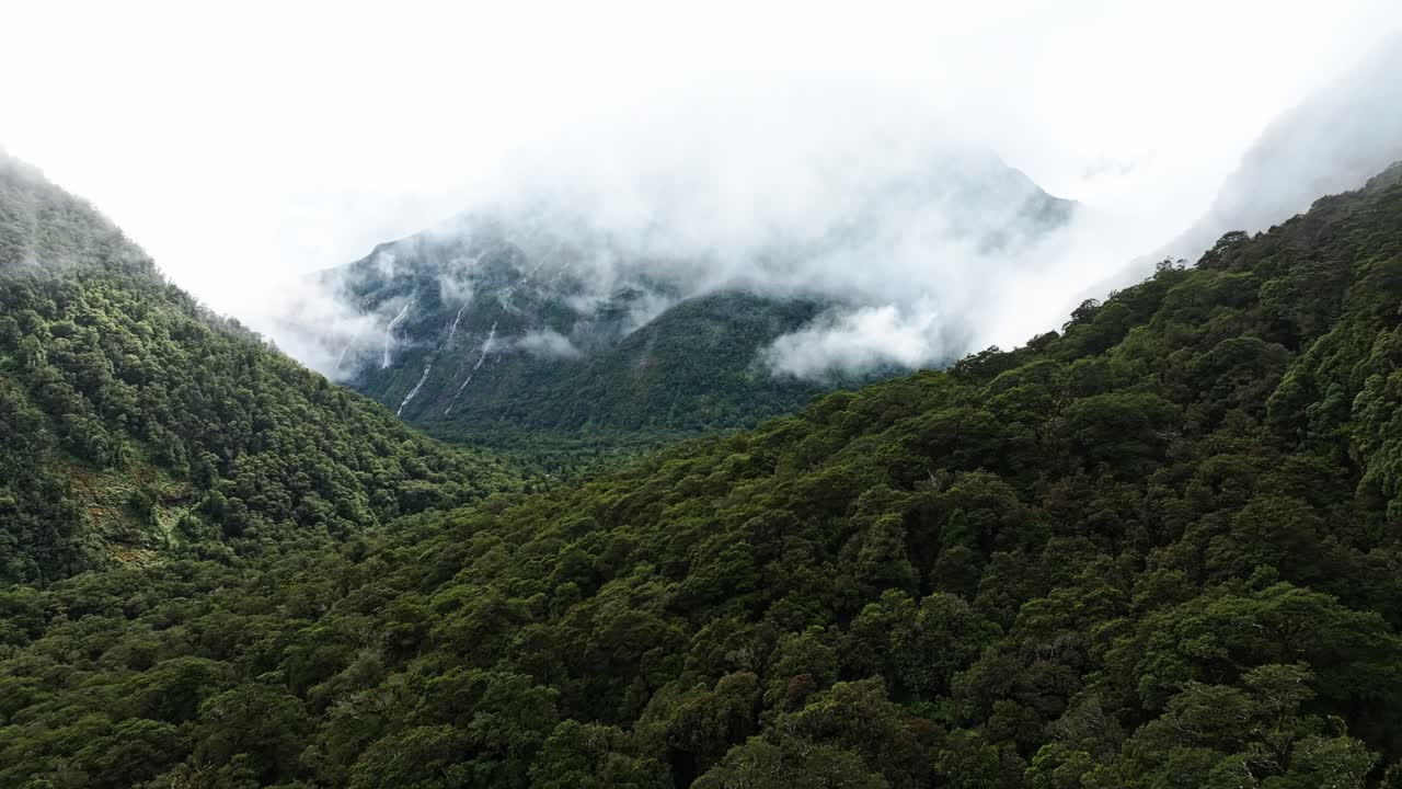 nubes bajas y brumosas rodean los valles boscosos del estrecho de milford, nueva zelanda.