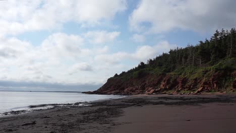 Red-Sand-Beach-with-Seagull-Flying-Away