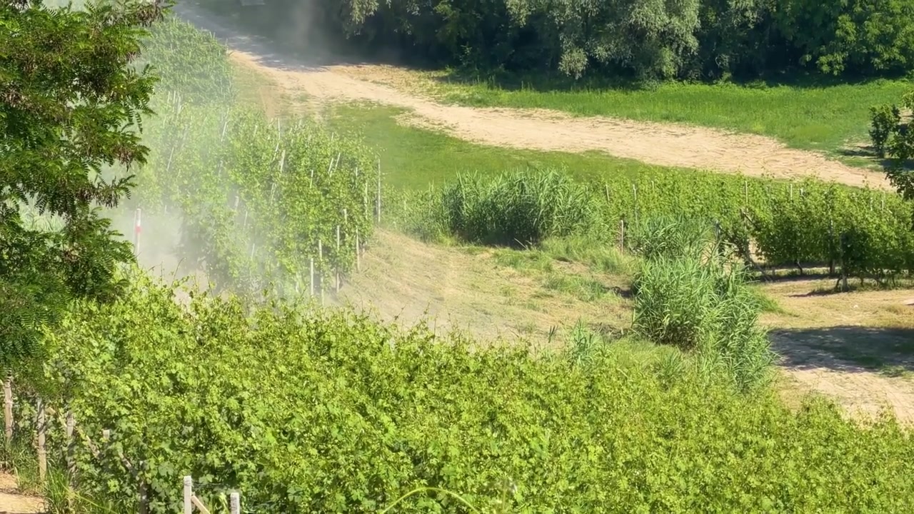 Ampia inquadratura di nebbia chimica che irrora rigogliosi vitigni in un vigneto rurale italiano.