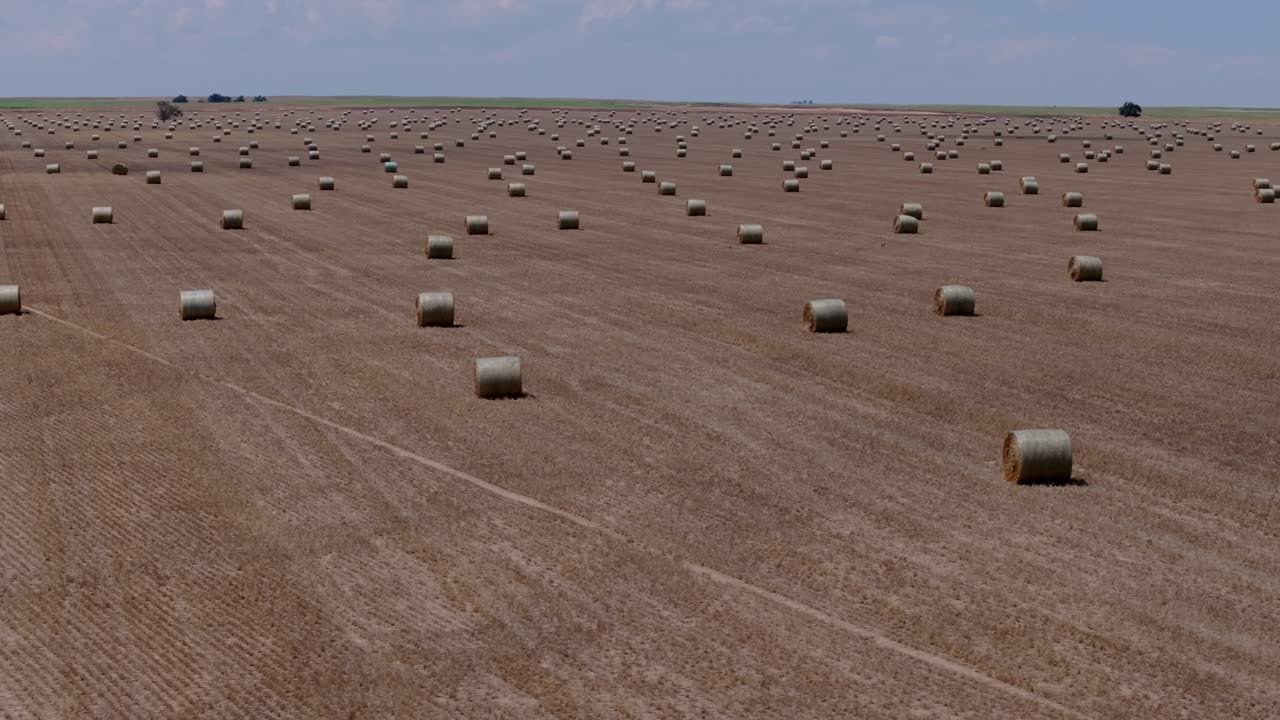 Drone aerial of agricultural harvest field scattered with hay bales