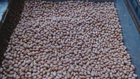 groundnuts or peanuts in grain storage box with close up shot, stable shot, 4k.