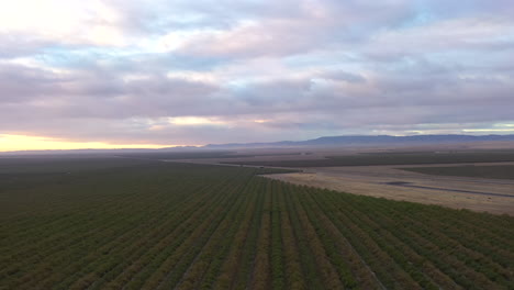 Huertas-De-árboles-De-Nuez-Y-Tierras-De-Cultivo-De-California-Central