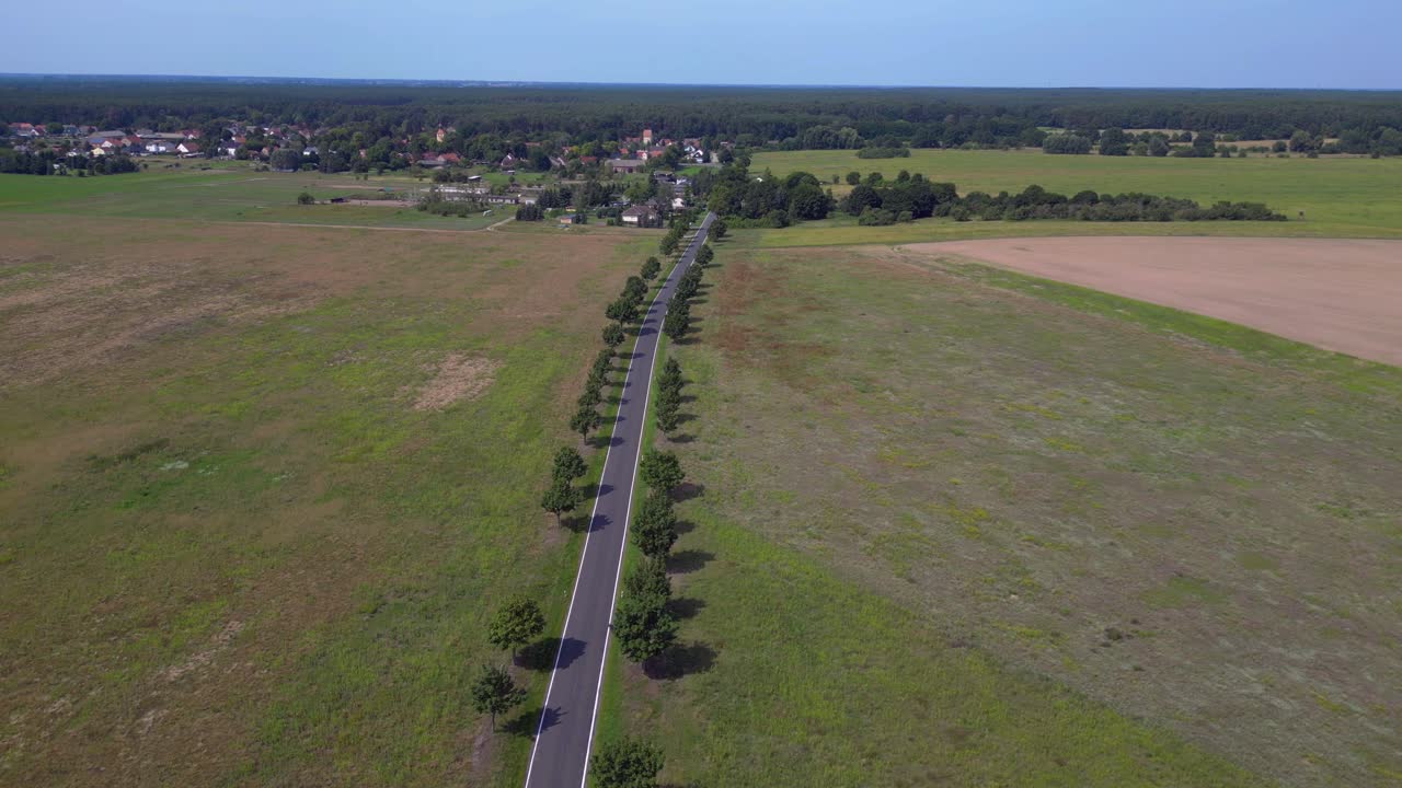 camino de asfalto vacío que cruza un paisaje rural con árboles y campos. perfecta vista aérea vuelo tirón en drone