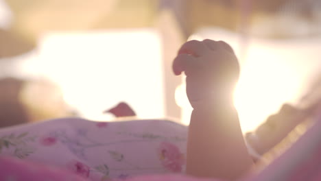 Baby-moving-hands-view-in-evening-sun-light