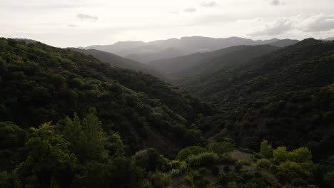 morning mist covering mountain valley and forest, aerial drone view