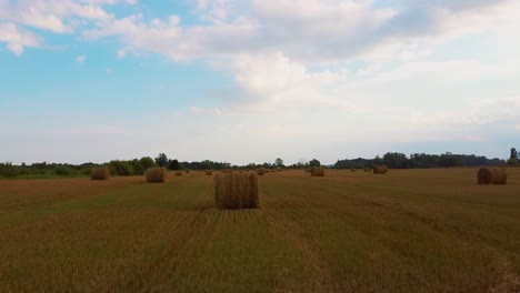 the-Field-With-Hay-Rolls