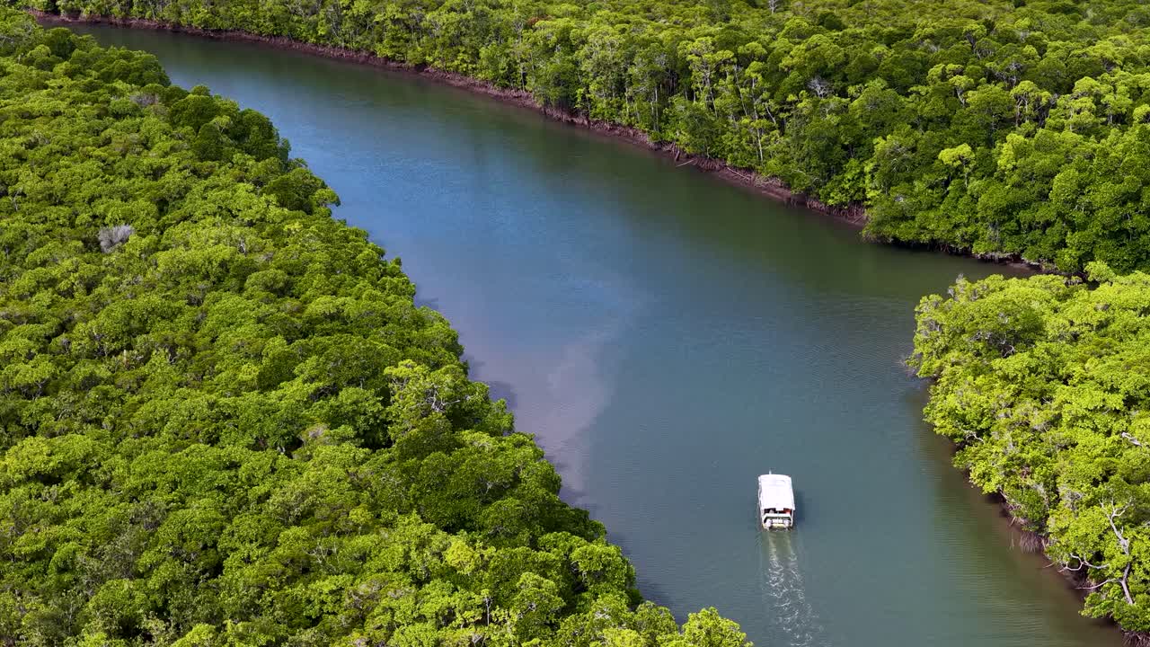 Aerial drone footage tracks a white tour boat navigating a winding river through lush green rainforest under bright daylight in Port Douglas, Queensland