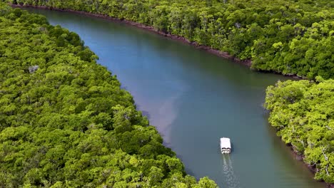 aerial drone footage tracks a white tour boat navigating a winding river through lush green rainforest under bright daylight in port douglas, queensland