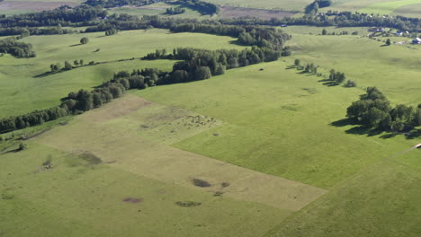 rotating aerial 4k shot of a picturesque countryside in dolní morava, czech republic with a small village and herd of cows grazing surrounded by fields and trees