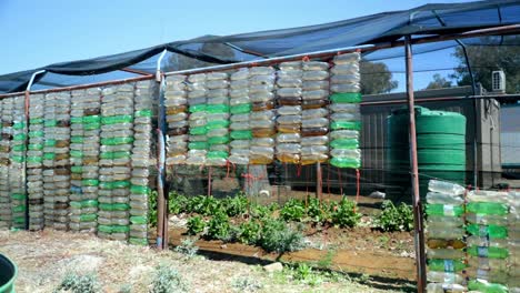 Toma-Panorámica-Ancha-De-Botellas-De-Plástico-Utilizadas-Como-Protección-Contra-El-Viento-Para-Las-Plantas