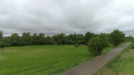 Vista-Aérea-De-La-Naturaleza