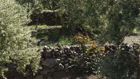 piedras en antiguas terrazas agrícolas hechas a mano por agricultores