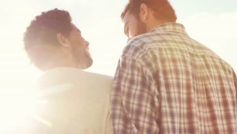 vista trasera de una pareja homosexual al aire libre