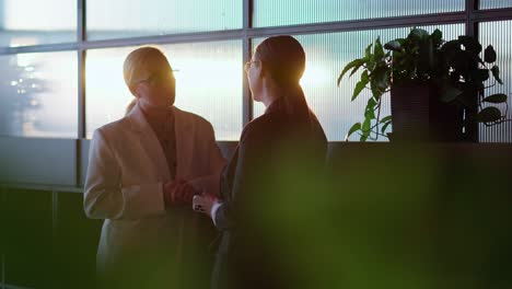 Up-to-date-businesswomen-in-business-clothes-stand-near-large-windows-in-the-office-and-communicate-in-a-sunny-office-near-indoor-plants-while-working