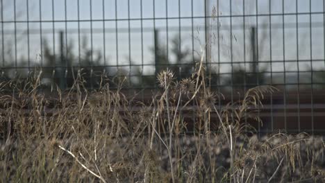 el tren en los rieles, 4k uhd slowmo