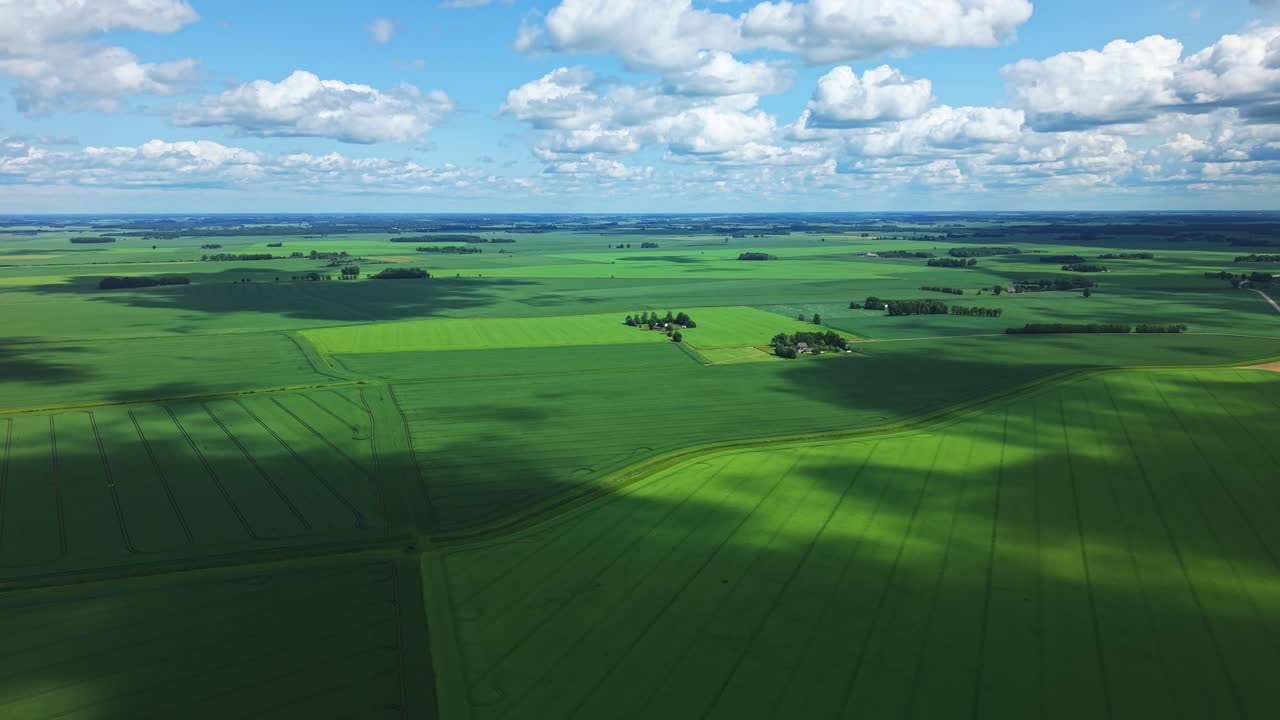Green grain field with moving cloud shadows in bright daylight aerial view