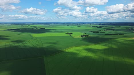 green grain field with moving cloud shadows in bright daylight aerial view