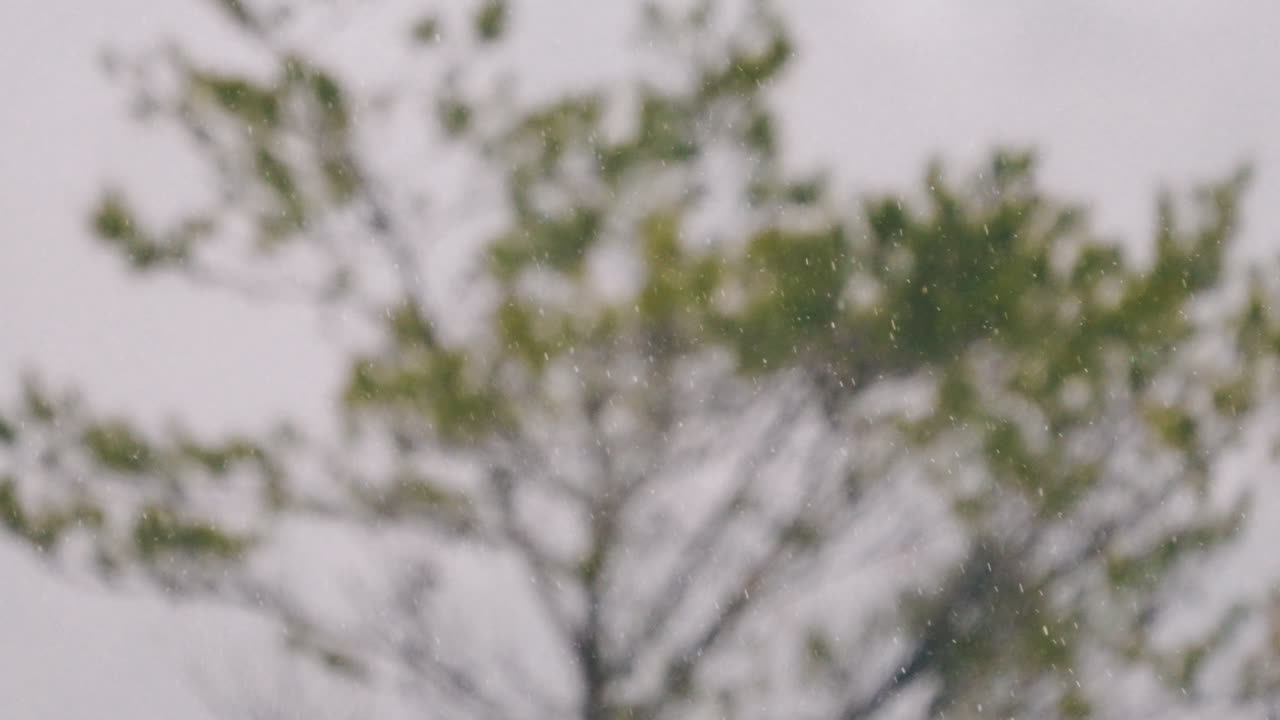 일본 기후 시골에서 떨어지는 눈송이로 초점이 맞지 않는 자연 배경