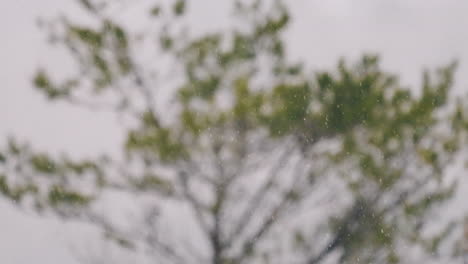 Out-Of-Focus-Nature-Background-With-Falling-Snowflakes-In-Gifu-Countryside,-Japan