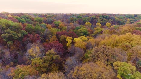 various trees in their fall colors at ledges state park