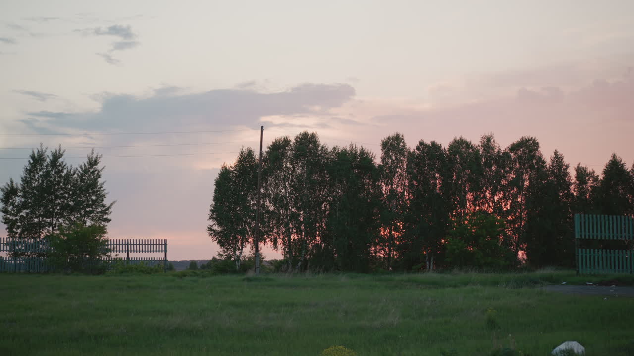 wide scenic open grass field bordered by tall birch trees with pastel sunset sky hues casting soft glow over tranquil rural landscape at dusk