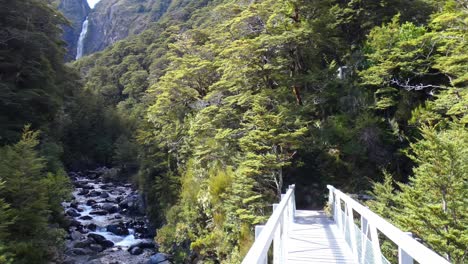 Langsamer-Spaziergang-über-Die-Fußgängerbrücke-Mit-Blick-Auf-Den-Unglaublichen-Wasserfall-Und-Den-üppigen-Bergbuchenwald---Devil&#39;s-Punchbowl-Waterfall-Walk,-Arthur&#39;s-Pass-National-Park