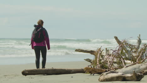 disparo trasero de una mujer aventurera en la playa caminando junto a la madera a la deriva