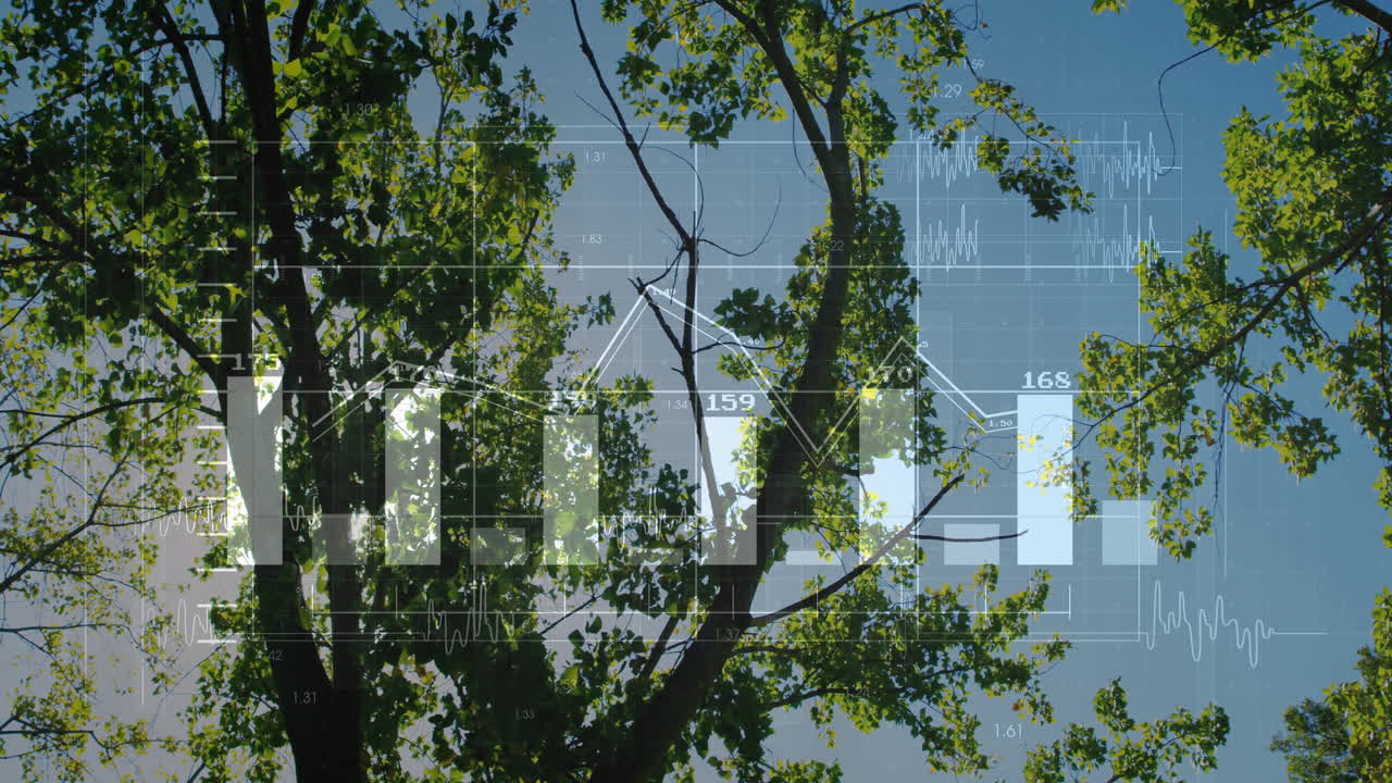 graphic designer illustrating tree canopy data visualization showing bar charts and waveforms