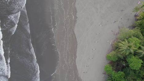 Eine-Luftaufnahme-Des-Strandes-Mit-Fliegenden-Vögeln