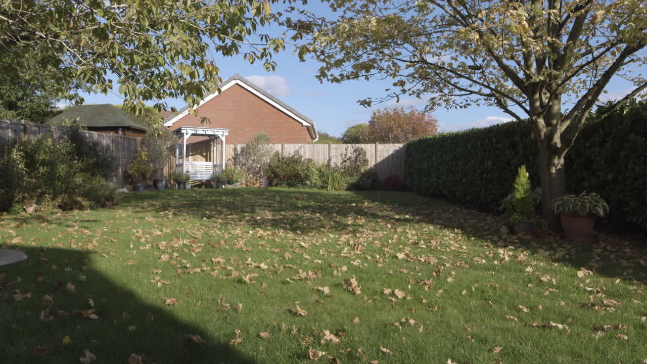 Backyard garden with lawn, house and trees