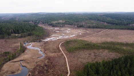 Fluss-Schlängelt-Sich-Durch-Das-Sumpfgebiet-Von-Vanga,-Kohlenstoffsenke-In-Schweden,-Einspielung,-Luftaufnahme