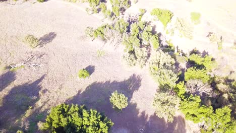 vista de las montañas de santa mónica cerca del parque estatal malibu creek en los ángeles, california en un día cálido