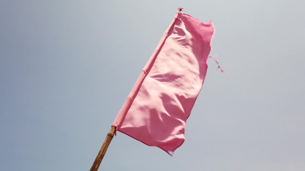 Bandiera rosa semplice che sventola al vento