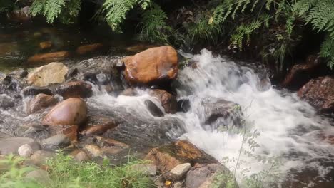 Corriente-De-Río-Dentro-De-Forrest-Cámara-Lenta