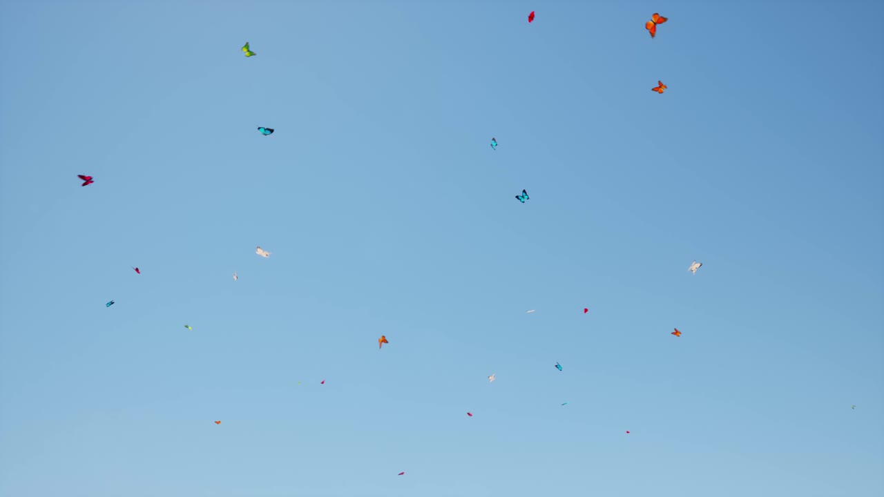 맑고 푸른 하늘 3d 애니메이션에서 무작위로 날아다니는 화려한 나비