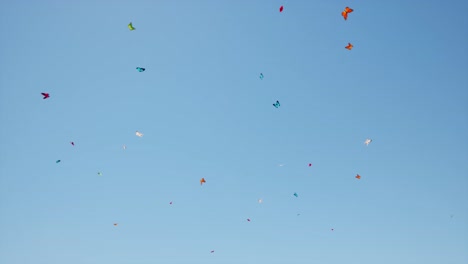 Mariposas-Coloridas-Volando-Al-Azar-En-El-Cielo-Azul-Claro-Animación-3d