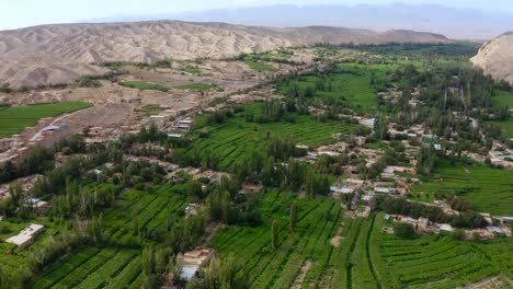 vista aérea de la agricultura tierra de viñedos verdes en la zona desértica