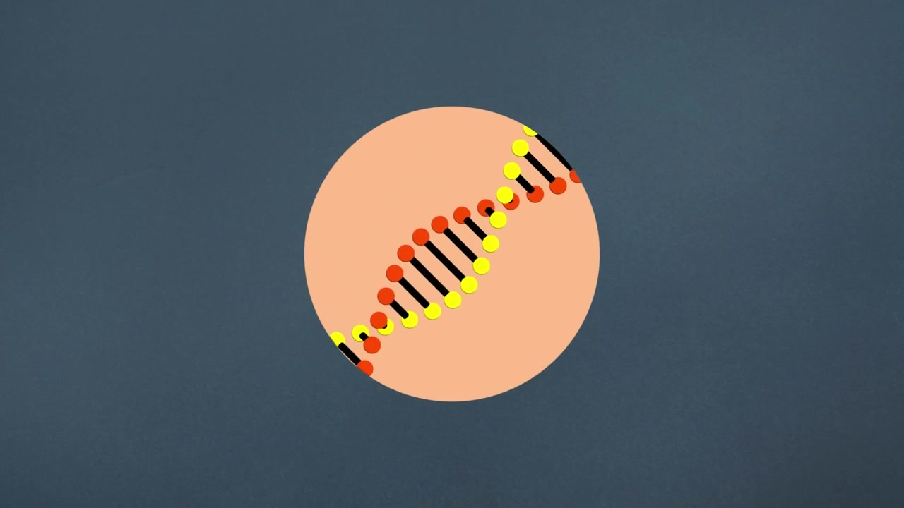 Animation of shapes moving over dna strand