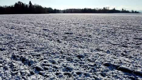 snowy field in winter fast spectacular droneshot