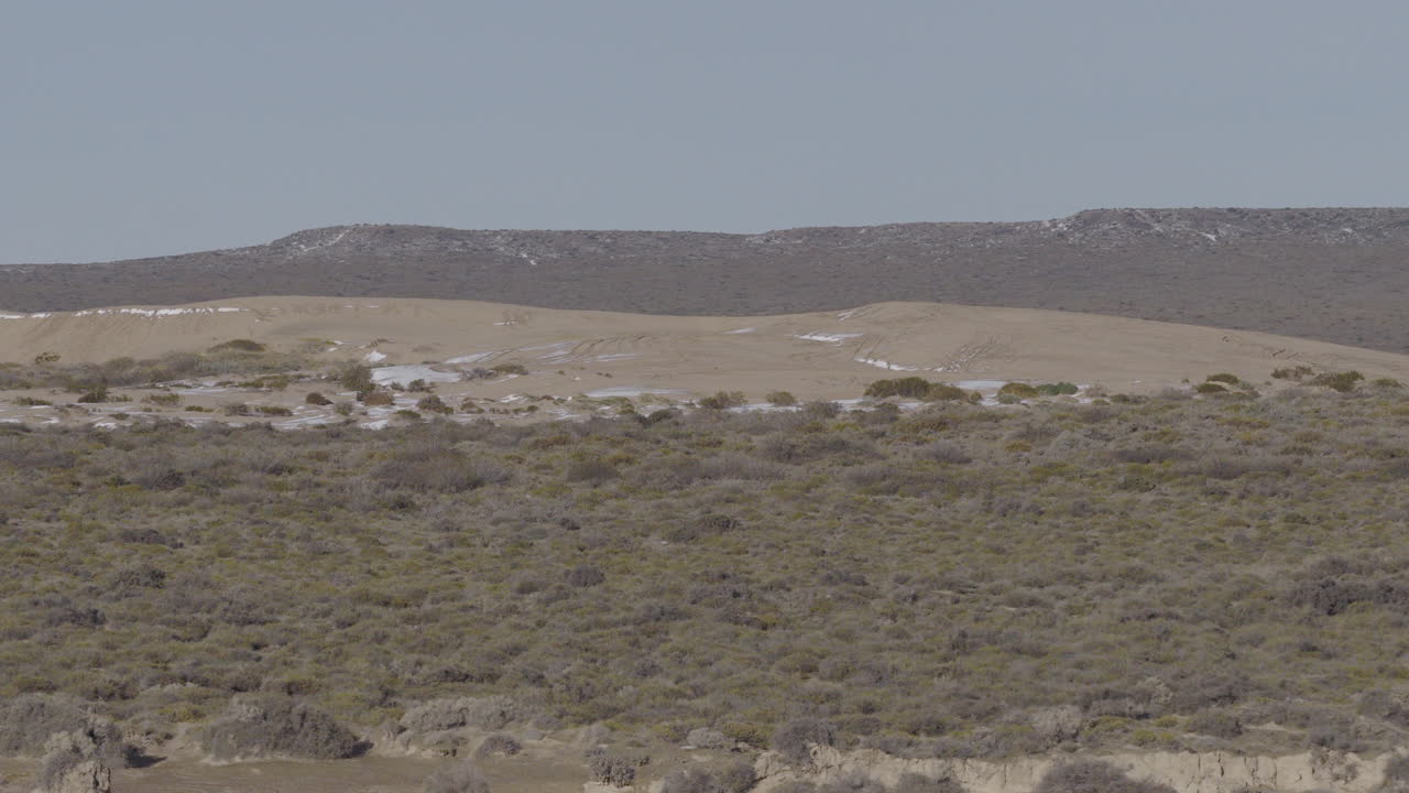 Aerial view of the coastline near Puerto Madryn, Argentina, showing scenic cliffs and the Atlantic Ocean in whale season
