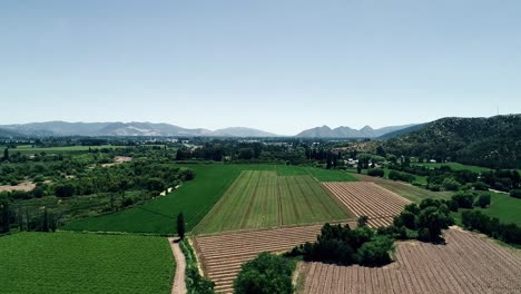 60-fps-drone-footage-of-a-nice-chilean-valey-landscape-full-of-vineyard