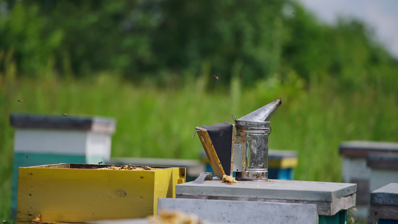 Smoker stands near the opened hive. Beekeeping tool to calm bees with smoke on a beehive. Bees flying around. Theme of beekeeping and honey bees.