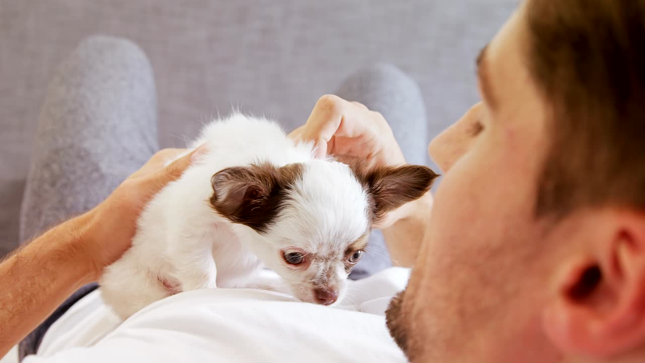 집에서 강아지를 만지는 젊은 남자 4k