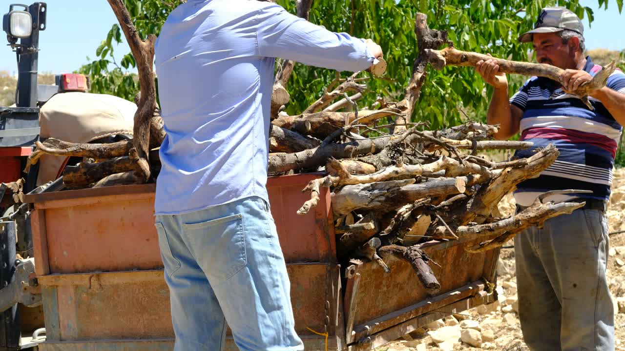 나무 를 상자 에 우고 있는 남자 들