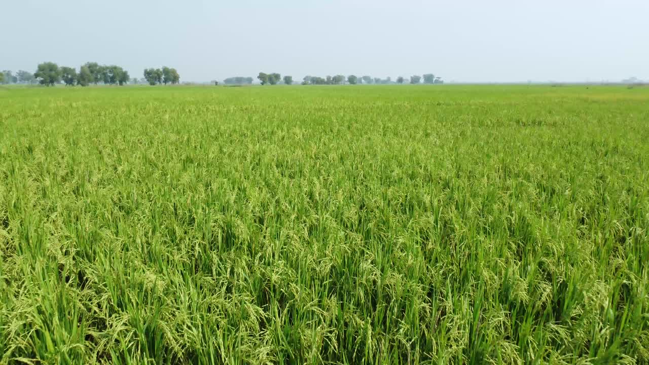 광활 한  ⁇  들 의 공중 뷰  ⁇