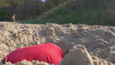 A-man-digging-through-the-sand-for-buried-treasure---mid-shot