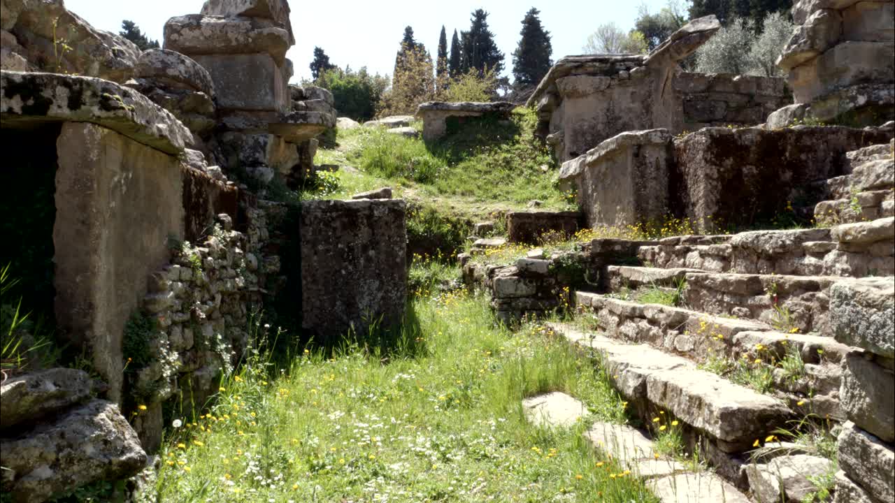 Antiche rovine di pietra ricoperte d'erba e fiori selvatici